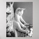 Search for sweet funny posters Black