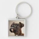Search for animal body part key rings Domestic animals