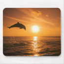 Search for bottlenose dolphin electronics Animal