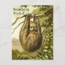 Search for something postcards Funny