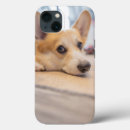 Search for corgi puppy iphone cases Canine