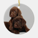 Search for chocolate lab christmas tree decorations Puppy