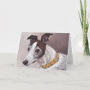 Search for brindle cards Pet