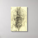 Search for female anatomy canvas prints Healthcare