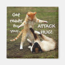 Search for captions magnets Funny