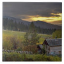 Search for log tiles Sunset