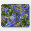 Search for cornflower mouse mats Flowers