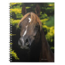 Search for arabian notebooks Equestrian