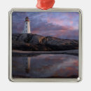 Search for evening christmas tree decorations Landscape