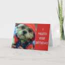 Search for sad birthday cards Dog