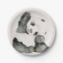 Search for panda plates Asia