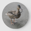 Search for quack art Animals