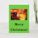 Search for parrot christmas cards Caique