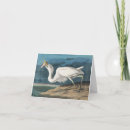 Search for audubon bird cards John james audubon
