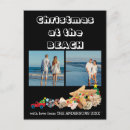 Search for sunset christmas cards Palm trees