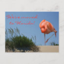 Search for flamingo moving announcement cards Florida