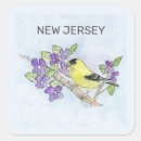 Search for new jersey stickers Bird