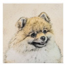 Search for pomeranian posters Orange