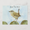 Search for wrens postcards Animal