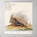 Search for prickly posters Vintage