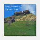 Search for roosevelt magnets Badlands