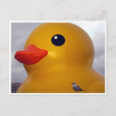 Search for ducky postcards Rubber duck