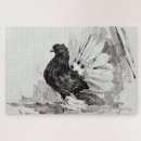 Search for pigeon puzzles Nature