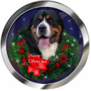 Search for greater swiss mountain dog Dogs