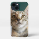 Search for cute baby kitten iphone cases Domestic cat
