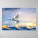 Search for flying dove art White