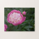Search for pink peony puzzles Flowers