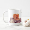 Search for cute orange tabby cats mugs Animal
