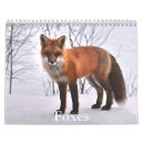 Search for tail office supplies Hunter
