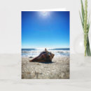 Search for whelk Beach