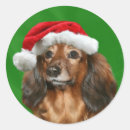 Search for hot dog stickers Red