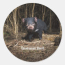 Search for devils labels Australia