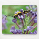 Search for fireflies standard mouse mats Lightning bug