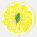 Search for fruit slice stickers Yellow