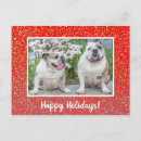 Search for pet christmas postcards Simple