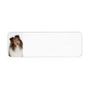 Search for shetland sheepdog return address labels Animals