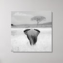 Search for kenya canvas prints White