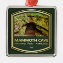Search for cavernous christmas tree decorations National parks