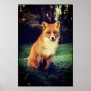 Search for fox posters Fauna