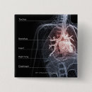 Search for human body organs Heart