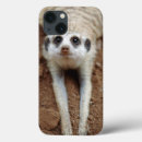 Search for cat pics ipad cases Colour image