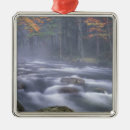 Search for adirondacks christmas tree decorations Landscape
