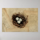 Search for birds nesting posters Easter