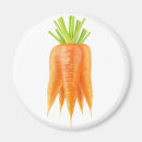 Search for bunch magnets Carrots