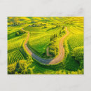 Search for vineyard postcards Mediterranean