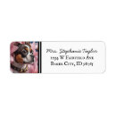 Search for boston return address labels Puppy